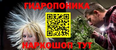 прущие грибы Бугуруслан