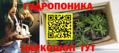 ПСИЛОЦИБИНОВЫЕ ГРИБЫ Будённовск