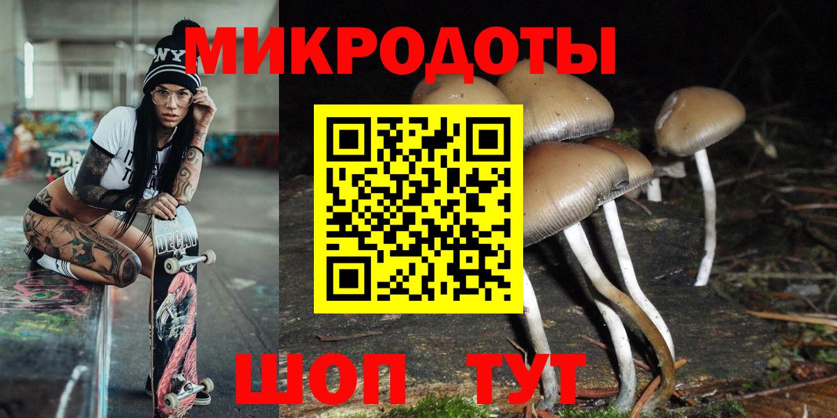 закладка  Галлюциногенные грибы Psilocybe  Вход с VPN  Буйнакск 