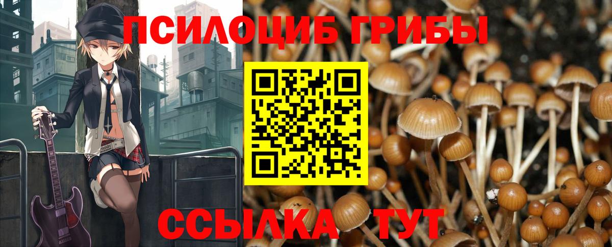 Псилоцибиновые грибы мухоморы Буйнакск
